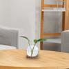 2pcs Hydroponics Glass Vase with Wooden Tray Bud Vases Plant Propagation Station Flower Vase for Bedroom Home Table Decoration