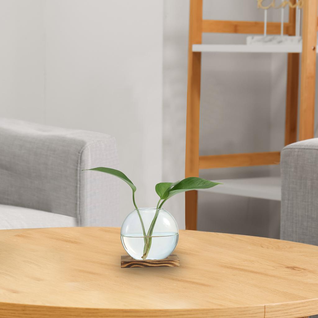 2pcs Hydroponics Glass Vase with Wooden Tray Bud Vases Plant Propagation Station Flower Vase for Bedroom Home Table Decoration