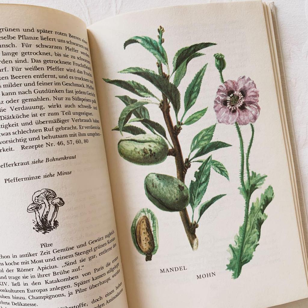 [USED] I'm drawn to the rustic feel of these vintage books on spices and herbs, foreign books, and old botanical books.