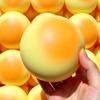 Soy Milk Bun Slow-Rising Squeeze Toy Ultra-Soft PU Fidget for Stress Relief Realistic Food-Shaped Decompression Gadget for Kids Adults