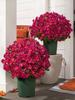 5 Bundles Artificial Sunset Mums with Stems Artificial Outdoor Sunset Mums Flowers for Table Window Wedding Indoor Outside Decor