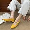 French Thick Heel Retro Square Head Suede Mary Jane Shoes Women's Spring 2025 New Versatile Commuter Low Heel Shoes