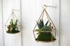 Kishima Eclear Deodorizing Artificial Green Hanging Type KH-61068 KH-61068