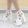 Fashion 15CM Summer Ankle Strap Sandal Shoes for Women High Heels Sandals Platform Back Zipper Sandals Fashion Party Model Show Pumps