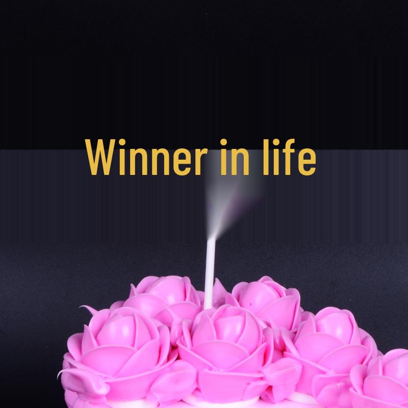 Godlike Dad Birthday Cake Decor: Mini Liquor Bottle Figurine and Plastic Drink Companion Accessories