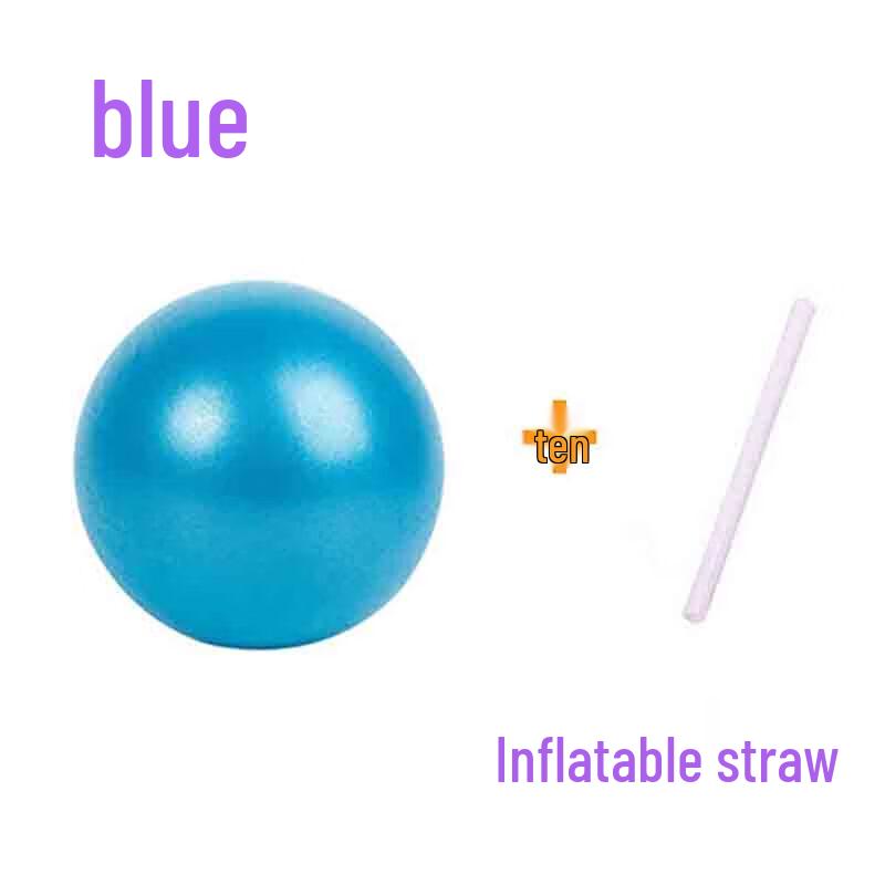 Longchan 25cm PVC Pilates Yoga Fitness Ball