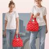 Durable Lunch Tote Bag Portable Food Container Bag Polka Dots Insulated Lunch Bag  Office