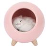 Warm Sleeping Night Lamp LED Bedside Light USB Charging Nursery Night Light with Cat Doll