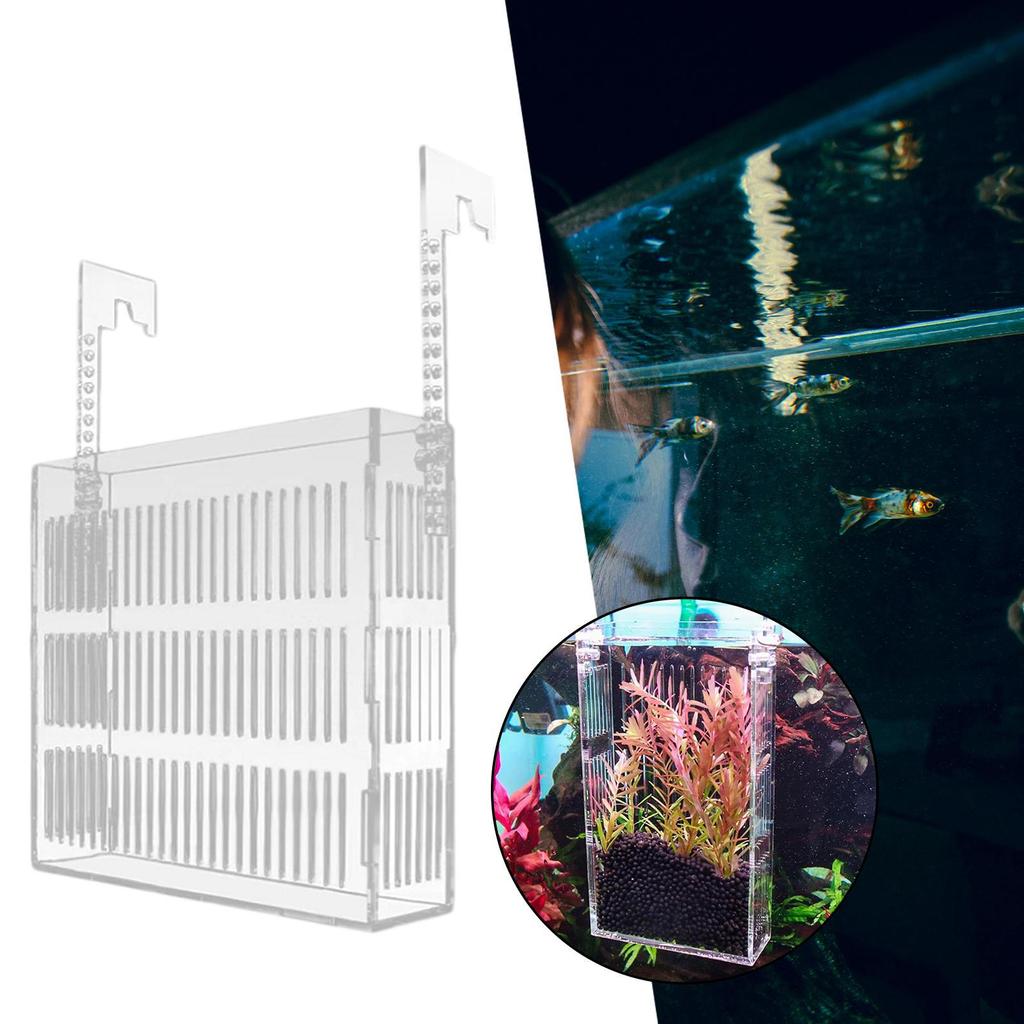 Clear Fish Isolation Box with Hook Mount Professional Hatching Incubator