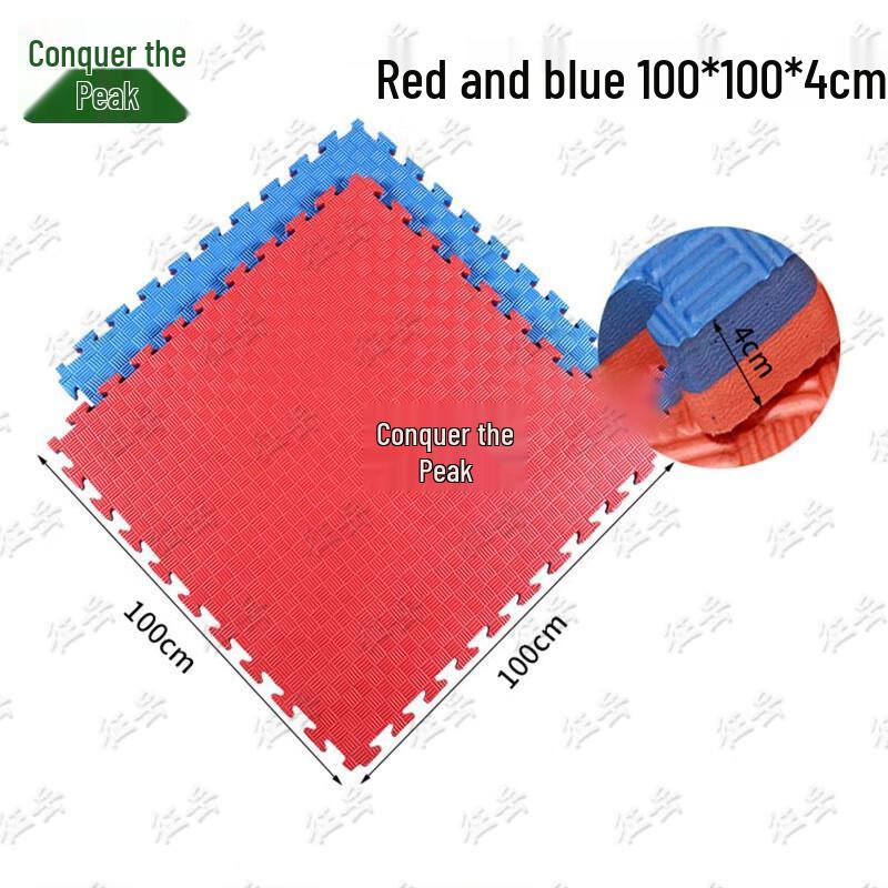 Interlocking Taekwondo & Gymnastics Training Mat