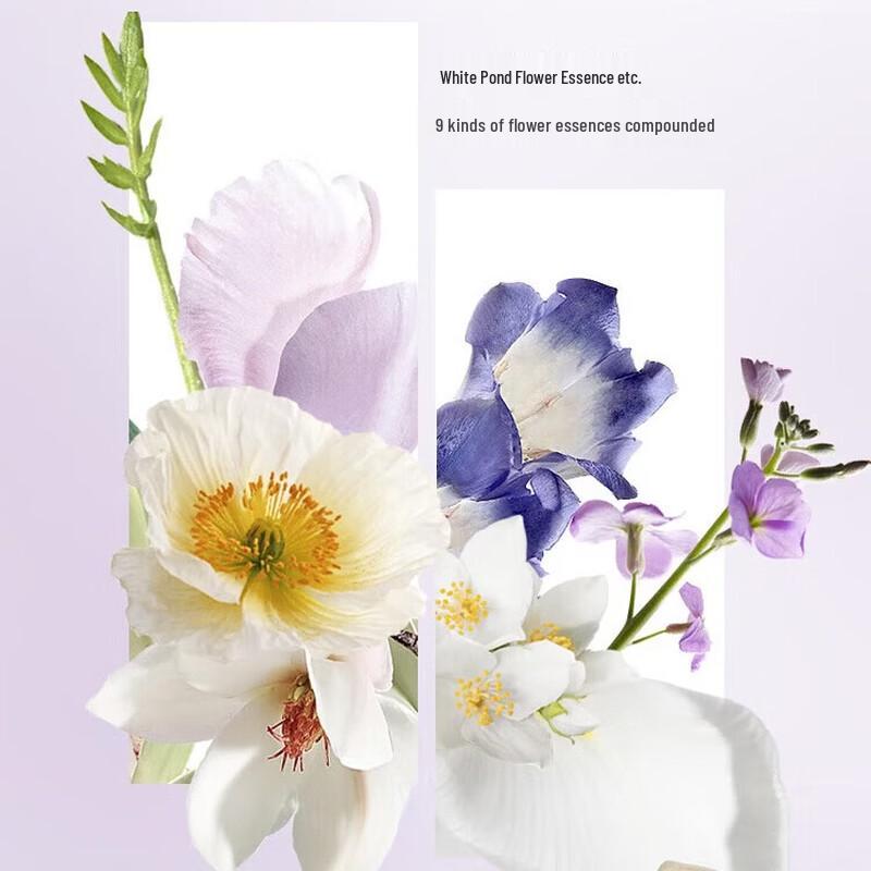 Schwarzkopf Enriching & Silky Hair Oil 80ml