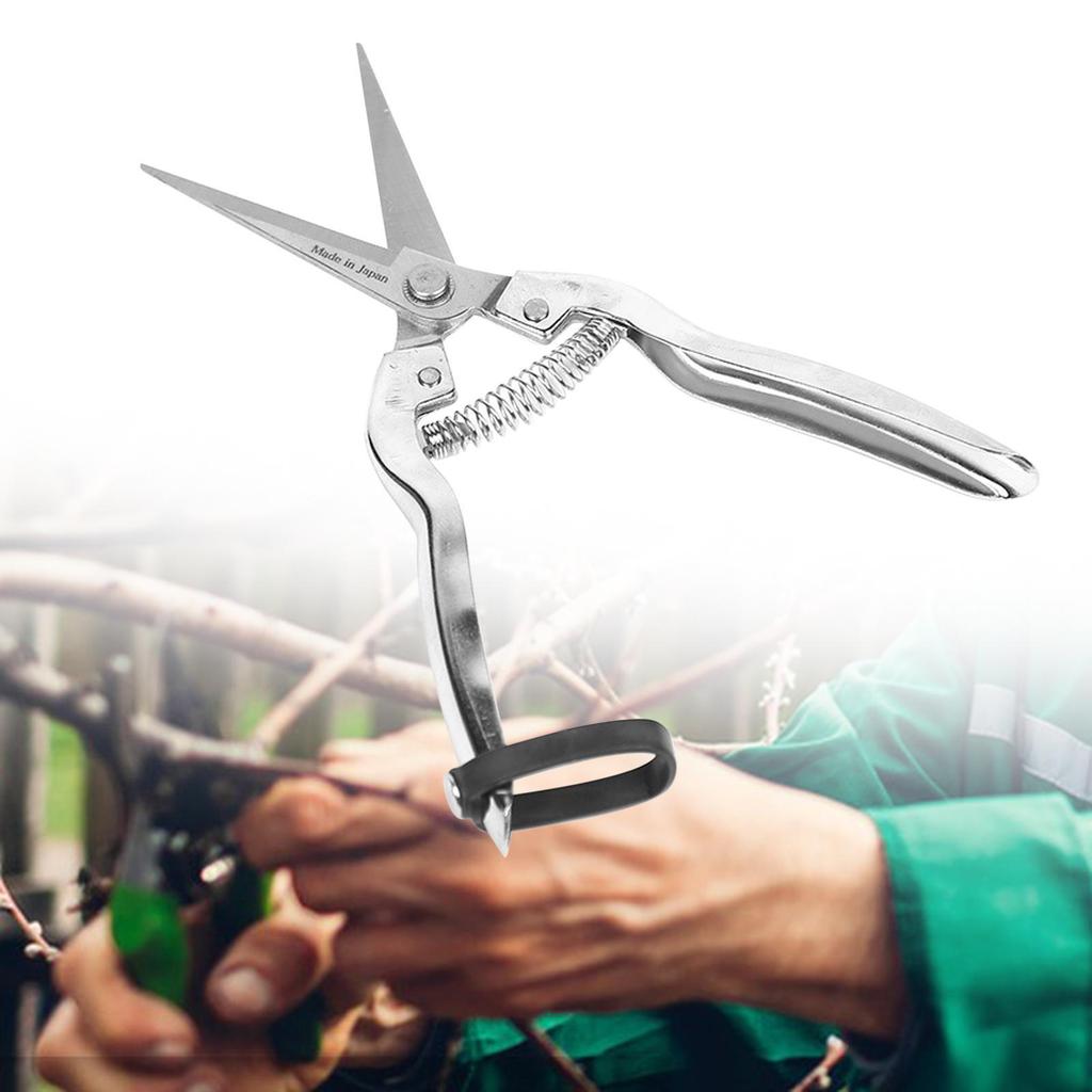 Pruning Shear Professional Heavy Duty Plant Cutting Scissors Sharp Gardening Scissors for Garden Farm Yard Orchard Flowers