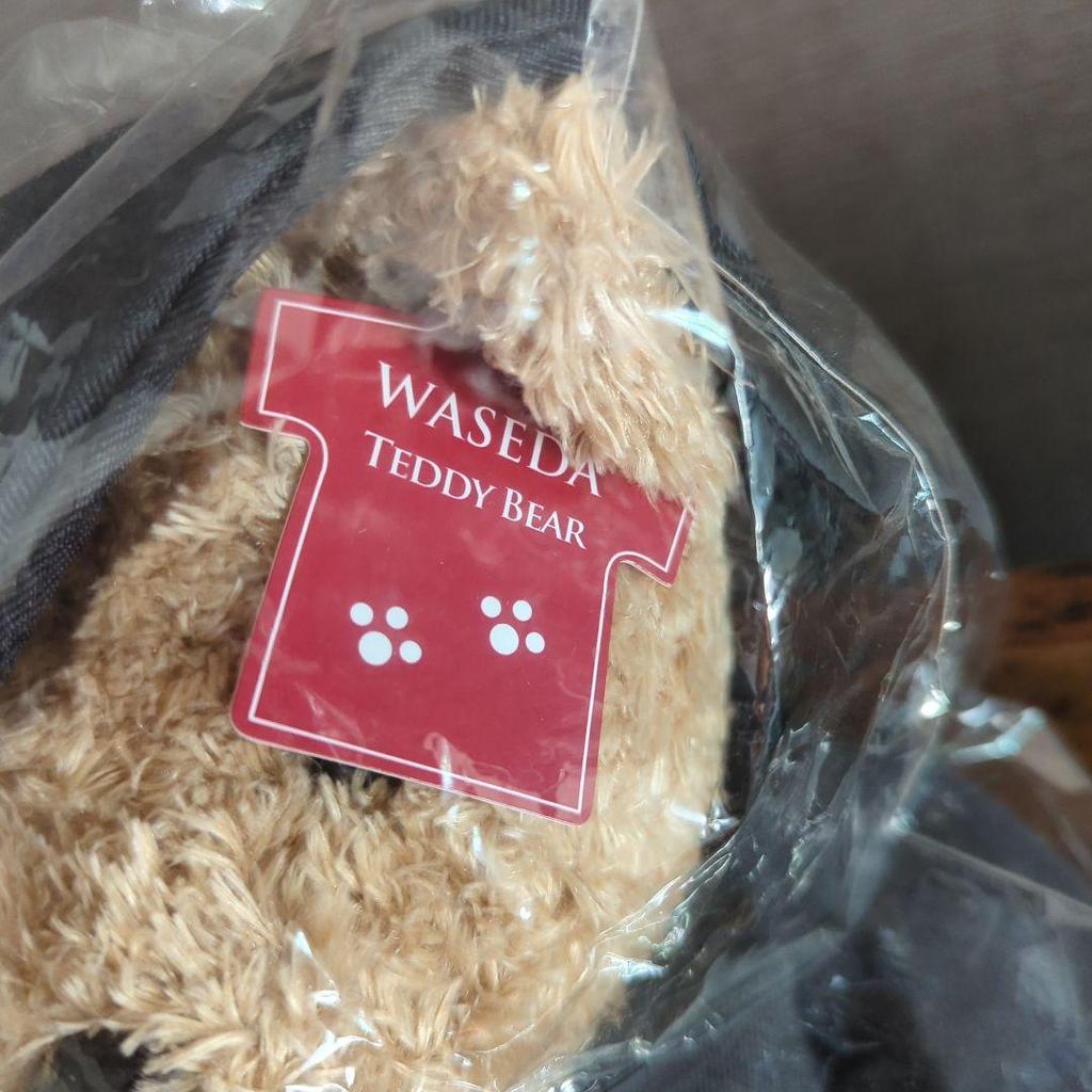 [USED] Waseda Teddy Bear - Currently Not for Sale