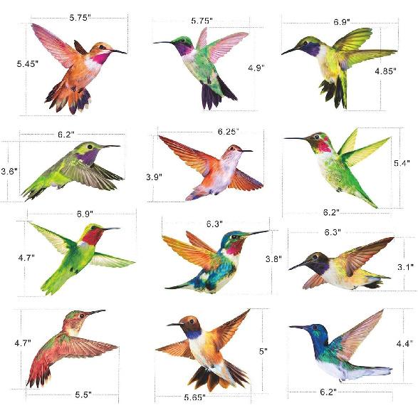 Anti-Collision Window Clings Bird Alert Collision Decals To Prevent Bird Strikes On Window Glass - Set of 12 Hummingbirds