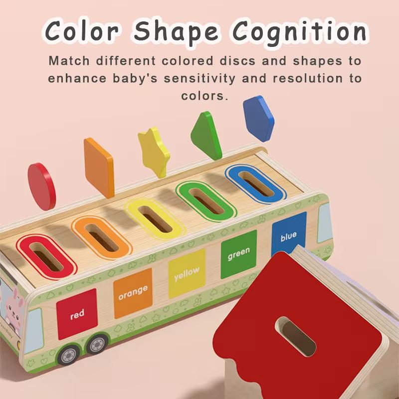 Wooden Sensory Toys Montessori Color Sorting Shape Matching Learning Parish Children Games Fine Motor Training Educational Toys