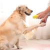 Dog Chew Toys for Aggressive Chewers Durable Squeaky Tough Teeth Cleaning Toy