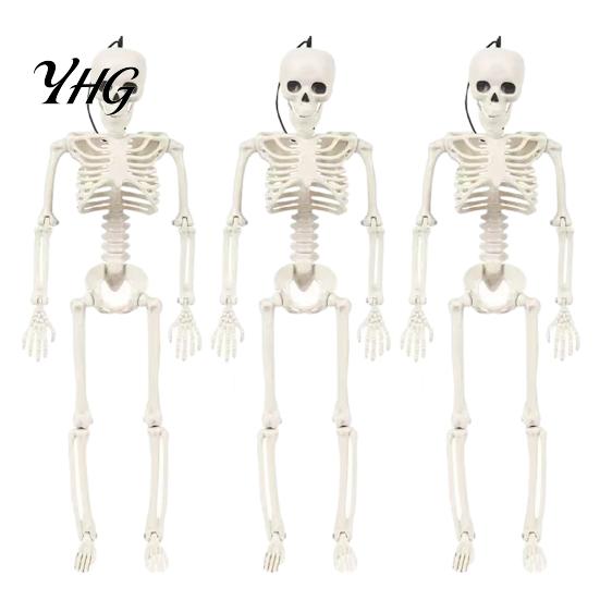 Posable Plastic Skeleton for Home Decor Realistic Halloween Figure, 40cm Joints Hanging Skull Decoration, Decorative Skeletons Porch Mini Bones