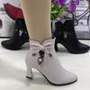 New Velvet Women's Soft-soled Short Boots Leather Shoes Autumn and Winter Versatile Temperament Zipper Pointed High-heeled Martin Boots Women