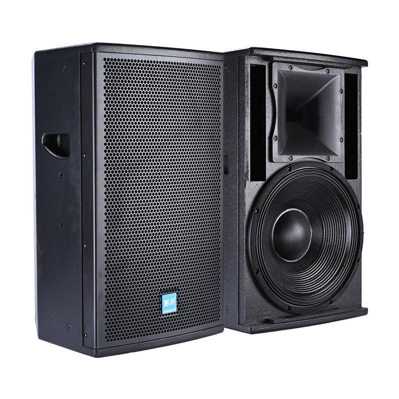 Professional High-Power 12-15 Inch Stage and Home Audio Subwoofer for KTV, Conference, Dance, and Cinema