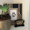 1pcs Pet Dog Footprint Handprint Pad Safe Non-toxic Printing Pet Footprint Baby Paw Print Footprint Dog Accessories Pet Supplies