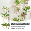 Retro Wood Hanging Hydroponic Test Tube Multilayer Stand Transparent Glass Vase  Home