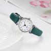 Quartz Watchesfor Women Ladies Small Dial Casual Watch Leather Wristwatch