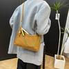 2025 Retro Fashion Chain Women's Shoulder Bag - Versatile, Solid Color, High-End Texture for Commuting & Crossbody Use