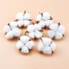 10PCS White Cotton Florist Supplies Wedding Car Decorative Wreaths Christmas Home Decor Diy Gifts Box Cheap Artificial Flowers