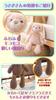 First Toy Bear with Photo Japan Baby Plush My Baby Newborn Gift JP-SAKURA [Authentic] Set, Inspected, Toy, List, (Rabbit + Tapestry)