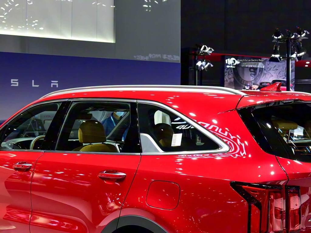 Compatible with 2021 Kia Sorento: Rearview Mirror, Fuel Tank Cap, Handle, Door Bowl, Door Edge