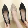 Women's Shoes 2025 New Shallow Women's High Heels Fashion Crystal Office and Career Sexy Pointed Toe Best Seller Heels Women