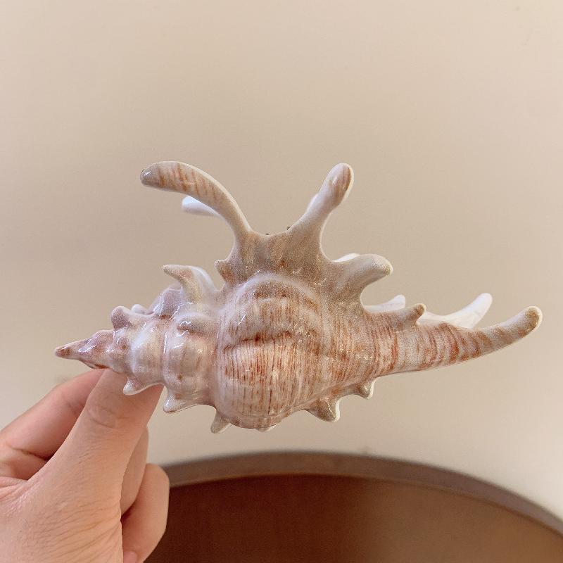 Acrylic Conch Hair Claws Korean Exaggerated Colorful Irregular Personality Large Hair Claw Women Girls Hair Accessories