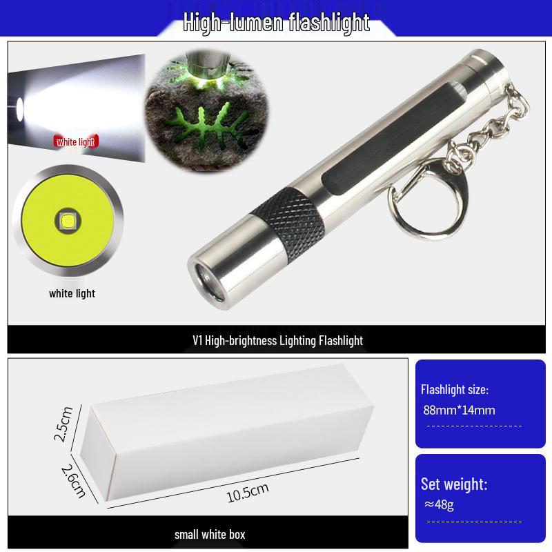365nm Purple Light Mini Stainless Steel Flashlight Keychain for Antiques, Collectibles & Jade Identification