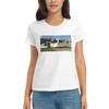 Women TShirt Bailey Caravan Summer Short Sleeve Tees Round Neck Cotton T Shirts Clothes Tops Streetwear