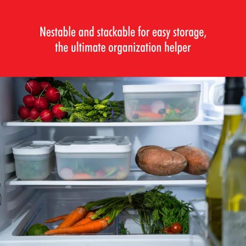 ZWILLING Fresh & Save Medium Airtight Food Storage Containers with Lids, Meal Prep Containers, Plastic, BPA-Free, Gray