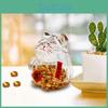 Piggy Glass Clear Bank Saving Container Home Decoration Cute Crafts Sculpture Decorative Cat Shaped