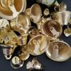 50 stk Vindklokke Gull Liten Bjelle DIY Håndverk Liten Horn Jingle Bell Jingle Bell Bryllup