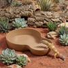 Non-Slip Reptile Bathing Pool With Ramp Turtle Pond Landscaping Amphibians Water Bowl  Pet Habitat
