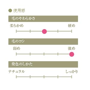 Kumano Makeup Brush (Makeup Brush) Chikuhodo Screw Black Goat G-14 Makeup Brush