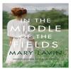 In the Middle of the Fields by Mary Lavin Paperback Book 9781848405318