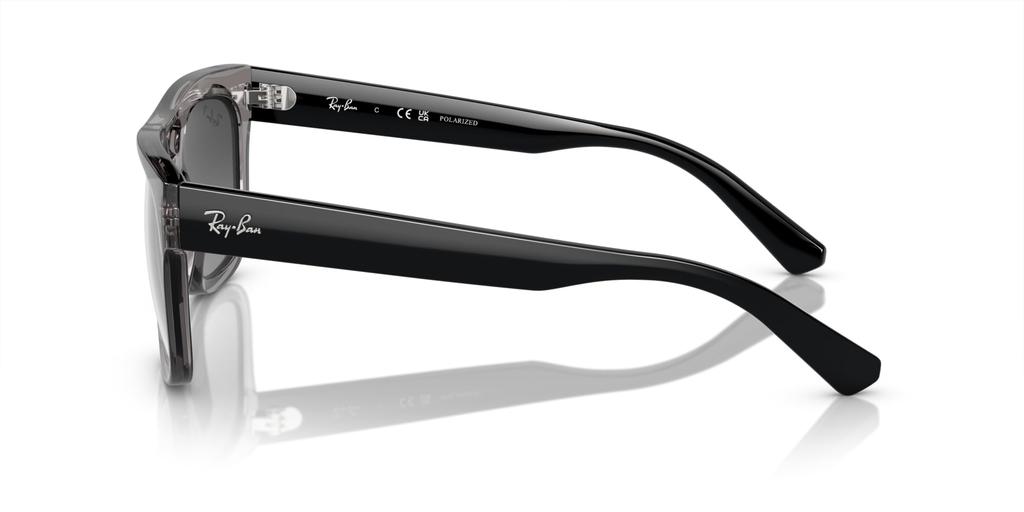 Sunglasses RB4426 PHIL TRANSPARENT 54 Ray-Ban