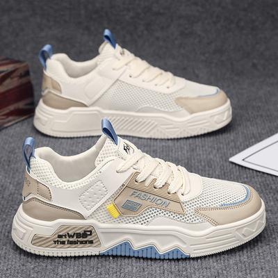 Men's Shoes Summer New Breathable Mesh Thin Men's Trend Versatile Sports Fashion Platform Flat Heel Casual Board Shoes