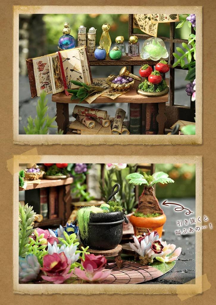 Moin moin Dukkehus Miniatyr Håndlaget Sett Terrarium Krukke Drømmeflaske Palmestørrelse Nybegynner Eventyr Stilig Interiør Blomsterhage Magisk Skole