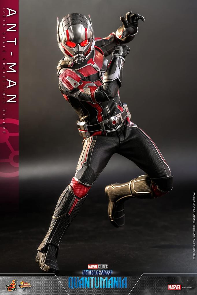 Movie Masterpiece and the Quantomania Scale Figure Ant-Man Wasp Ant-Man 1/6