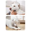 Transparent Dog Stop Barking Muzzle Anti-Bite Stop Barking Cat Dog Space Hood Pet Grooming Accessories Breathable