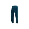 Knitted Sweatpants Women's Turquoise Moderate Straight Fit Pants DO2914-347