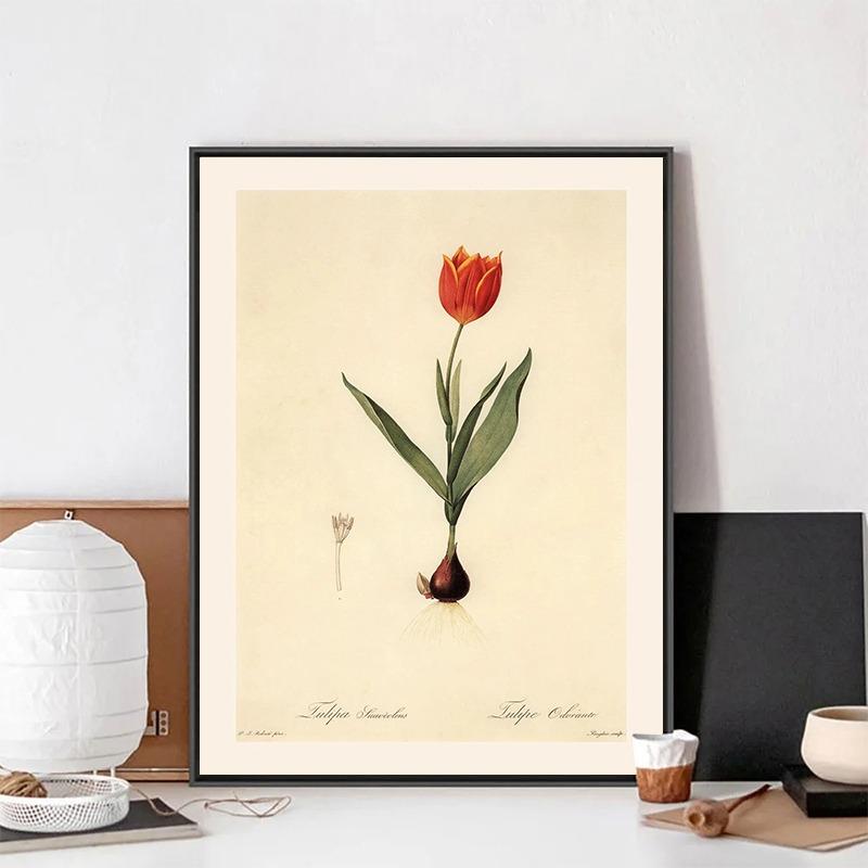 Vintage Botanical Posters Canvas Painting And Prints Classic Wall Art Picture for Living Room Office Home Decor Frameless Gift