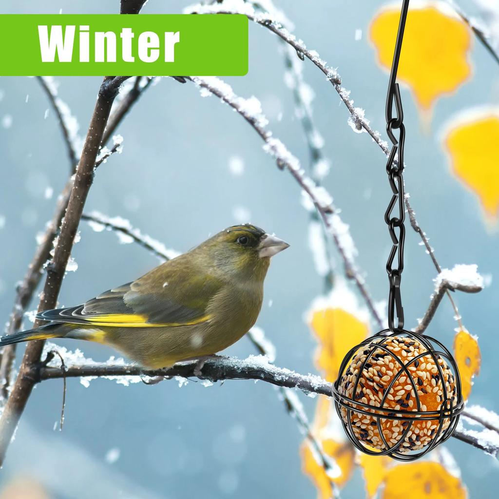 4Pcs Metal Suet Ball Bird Feeder Set with Hanging Chain Squirrel Proof Bird Feeders for Outdoor Garden Hummingbird Feeders