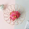 Abay Light Luxury Wrought Iron Fruit & Snack Bowl