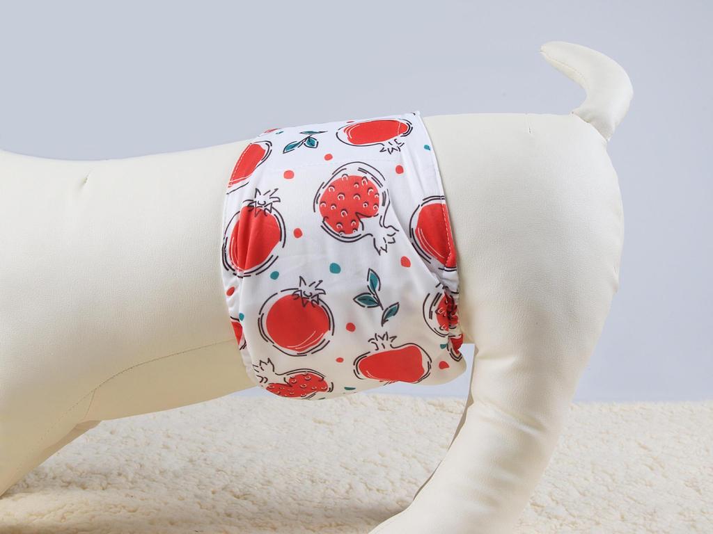 Nuovi Pannolini per Cani Maschi: Lavabile, Assorbente, Disponibile in Vari Colori - Include Cintura e Asciugamano di Cortesia